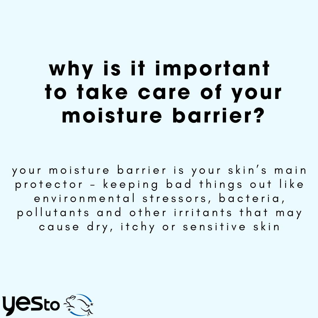 moisture barrier booster awakening hydration eye concentrate with hyaluronic acid, caffeine, and avocado oil