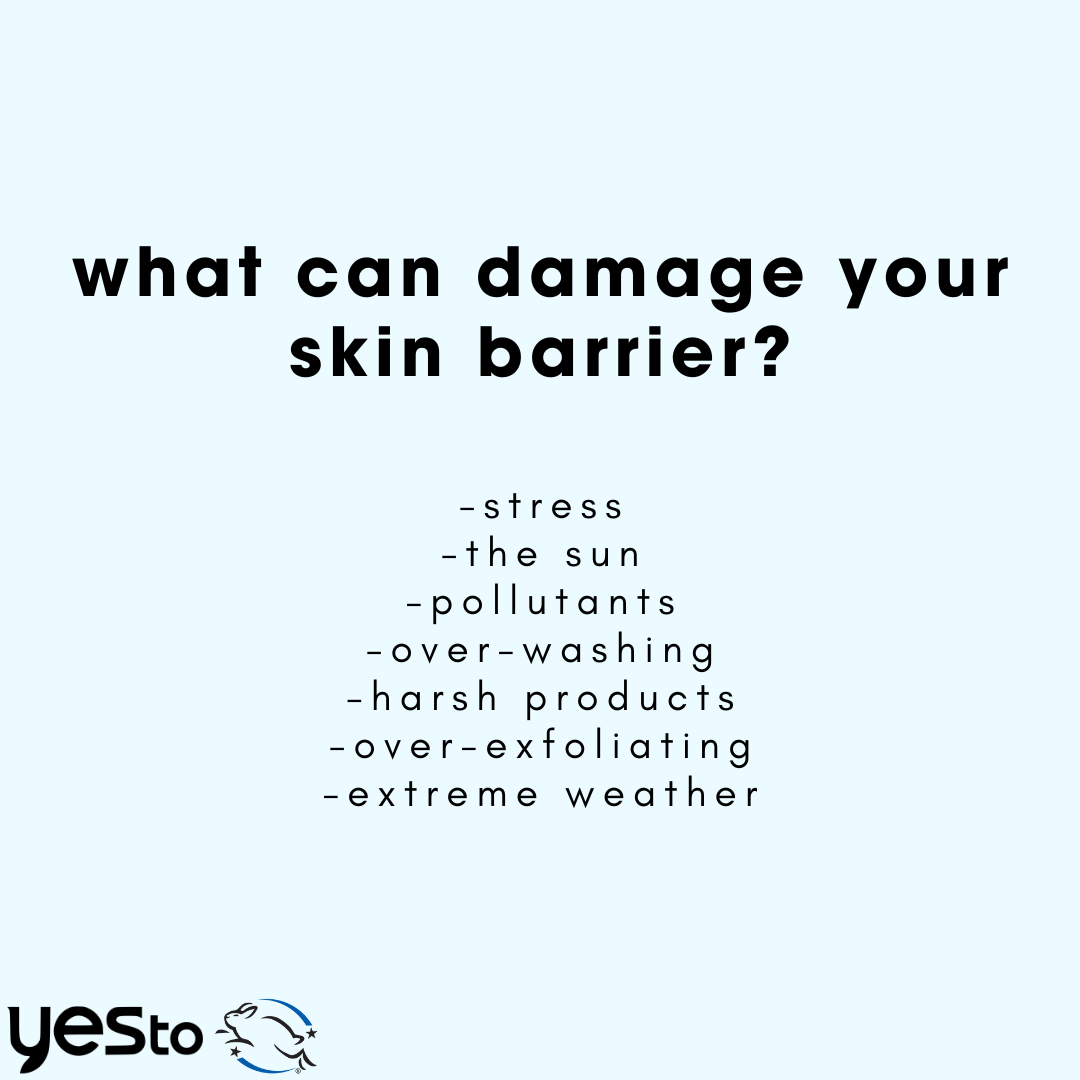 moisture barrier booster awakening hydration eye concentrate with hyaluronic acid, caffeine, and avocado oil