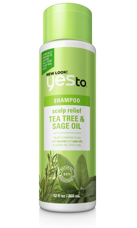 Image result for Yes To Shampoo tea tree